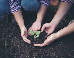 Recuperação de Áreas Degradadas