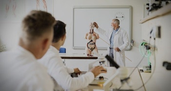 Anatomia e Fisiologia Humanas