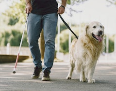 Sociedade e Acessibilidade