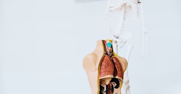 Anatomia e Fisiologia Animal