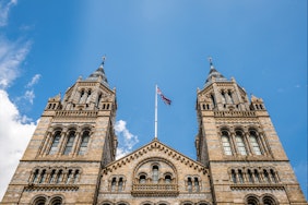 História Contemporânea